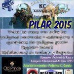 Imagen destacada del artículo «Exposición Ciudad Del Pilar 2015»